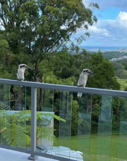 Ocean View Oasis, Coffs Harbourアパートメント エクステリア 写真